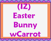(IZ) Bunny with Carrot