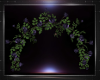 ! ENCHANTED ROSE ARCH