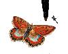 BT ANI. Butterfly Kite 
