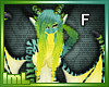 Ishi Dragon Female Green Blue Yellow