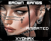 ♥Animated Bangs /brown