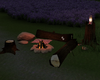 8P Campfire
