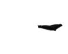 Black panties furn