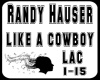 Randy Hauser-lic