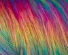 multicolor hair