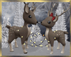 Christmas Deer / Lights