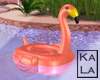 !A Flamingo Float