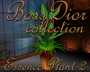 $BD$ Essence Plant 2