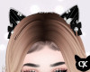 CK* Jack Neko Ears