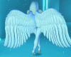 MVeWHITE WINGS ANIMT