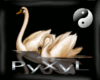ENH *^* Swans