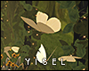 Y.Tinkerbell Butterflies