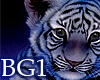 [TK] BG-Tiger CUb