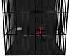 Medival Jail