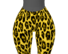 check it out pants v3