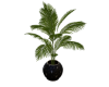 Potted Plant 3