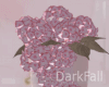 Hortensia Pink in Pot
