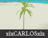 xlx Palm Tree animated