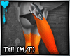 D~WarHorse Tail: Orange