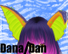 Dana/Dan- M/F Ears V5