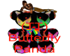 (TT) Butterfly Panda