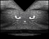 DS6 -Hoddie Kitty