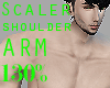 Scaler Arm 130%