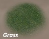 Grass Spot