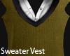 Sweater Vest