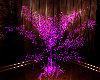 club violet palm tree