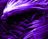 Purple Phoenix+Tats