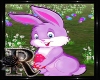 !R! Easter Bunny