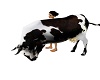 ANIMATED COW