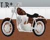 Tiger Motorcycle