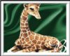 *00*Giraffe -Zoo Animal