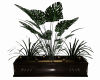 plante décorative zen