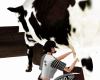 Cow Milking animted
