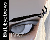[VKZ]BLK(L)EyebrowsRings