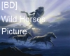 [BD] Wild Horses B.Drop