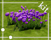 [Kit]Purple Tulips