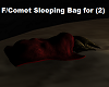 Sleeping Bag for Two