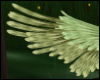 Sage Wings