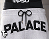 r. PL Shorts Grey