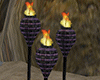 Purple & Black Torchs