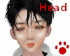 Asian Head