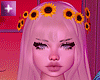Moanah Set v4