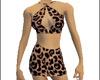 Leopard top & skirt