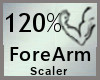 Scaler 120% ForeArm M A