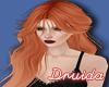 Lory orange