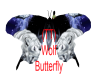 (TT) Wolfe Butterfly